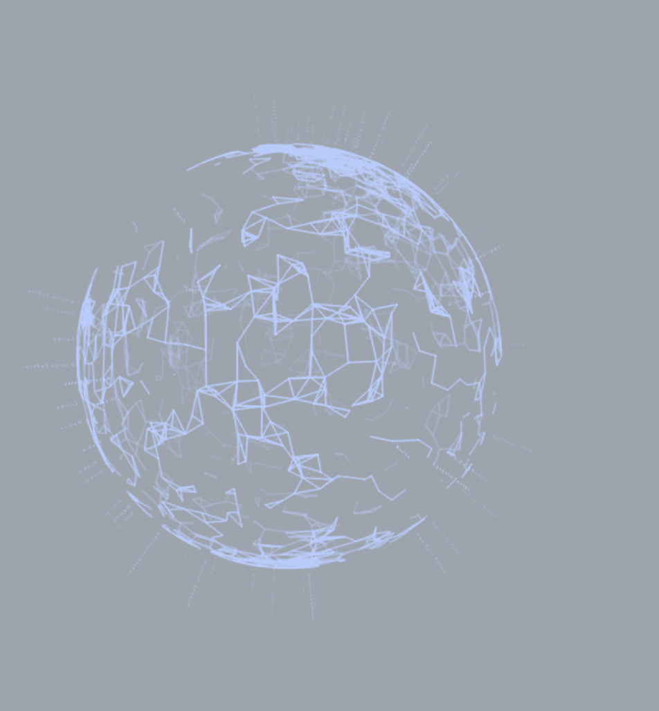 Network Globe